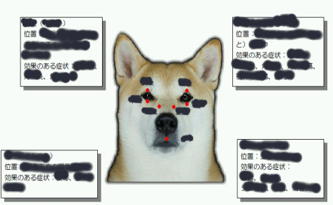 老犬,介護,マッサージ,病気
